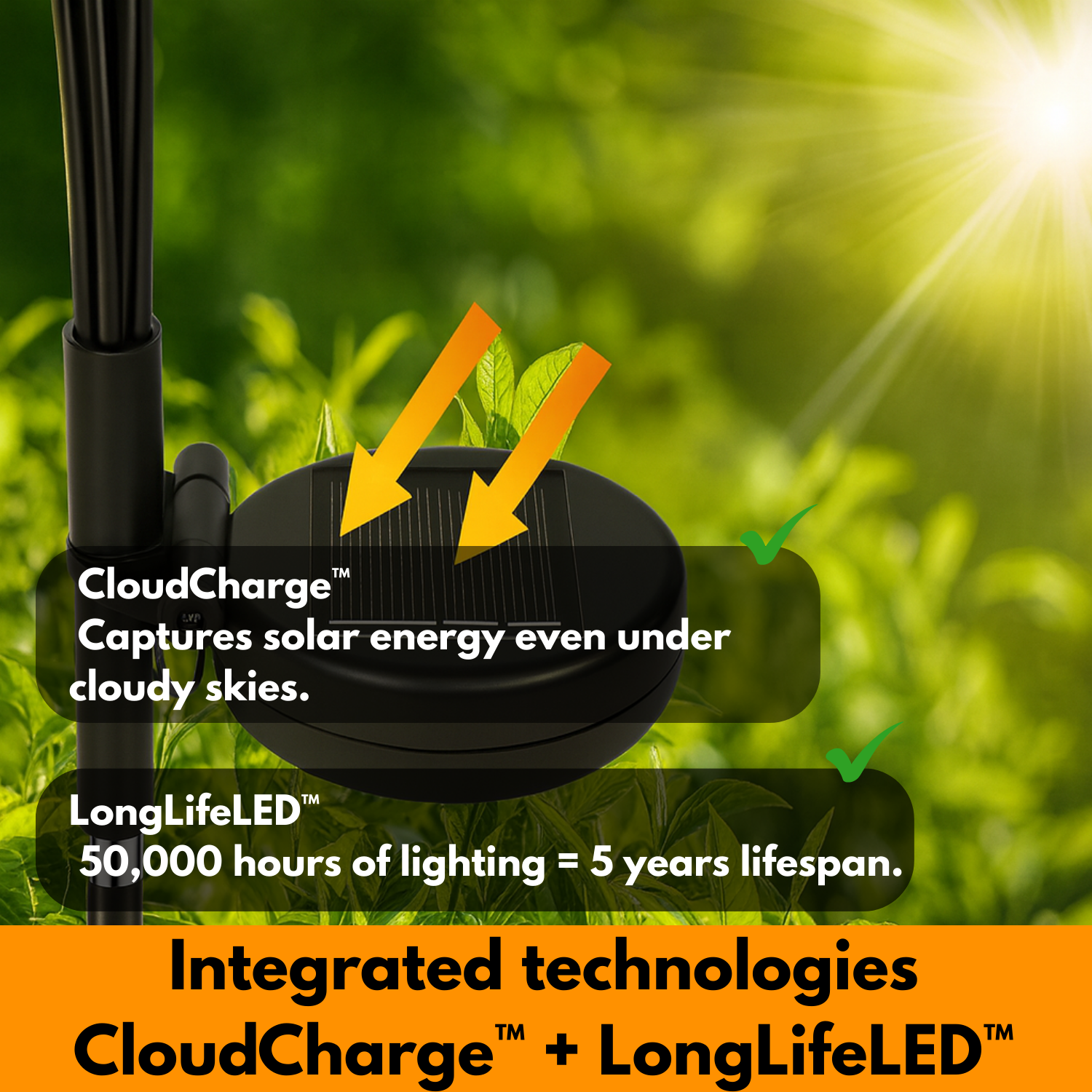 LuciLight™ – Premium Solar Firefly Lamps
